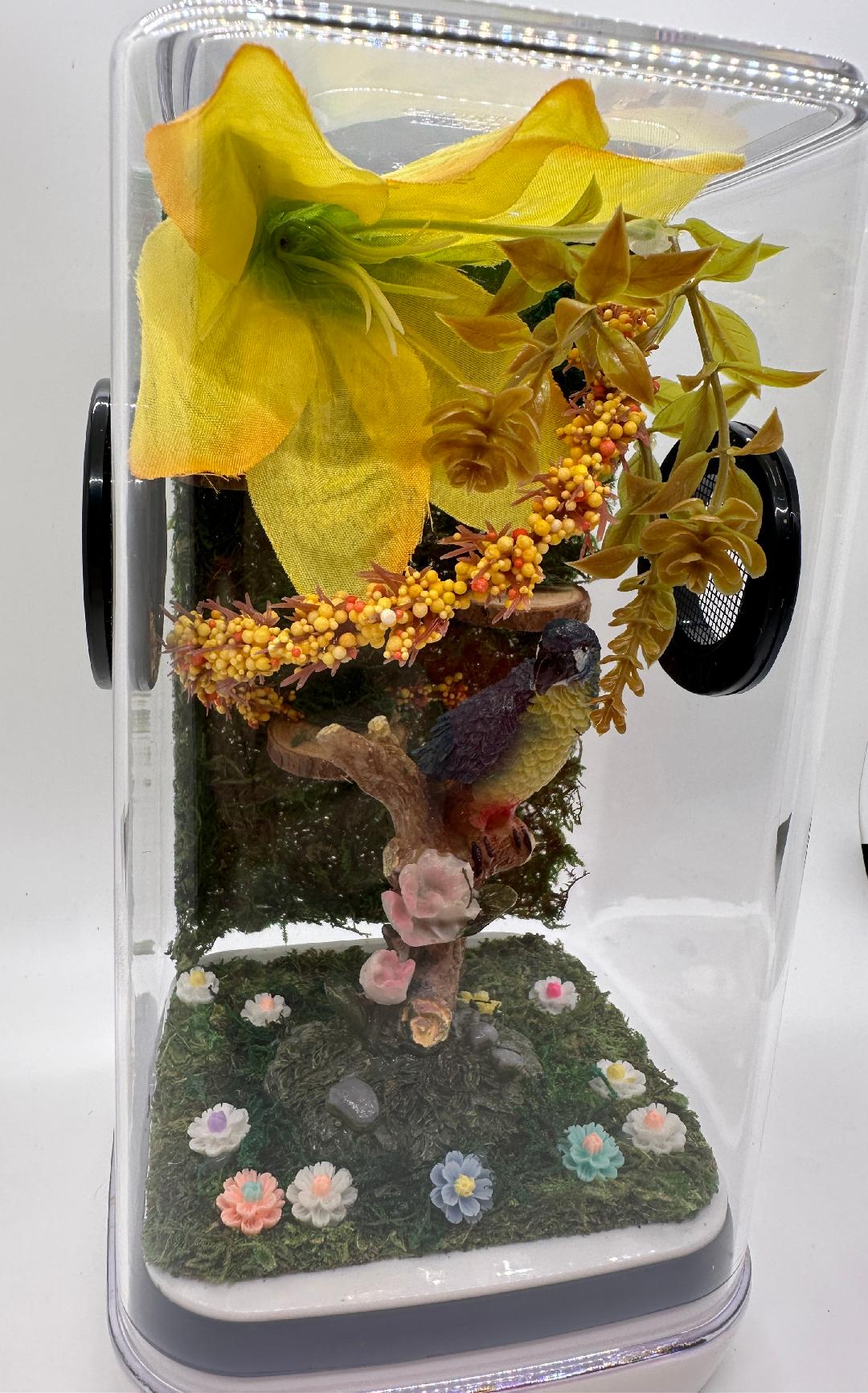 Snapshot of Customized Macaw Enclosure For Sale